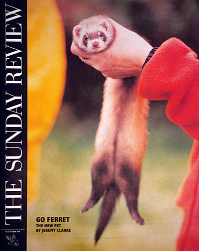 Ferret fanciers, Devon, Independent on Sunday Review - Getty ref: 3413-000022 
  - direct link on contact page