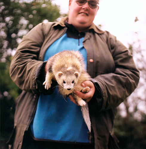 Ferret fanciers, Devon, Independent on Sunday Review