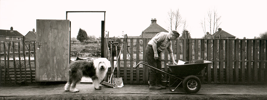 Man and dog at allotment, Hampshire, England - Getty ref: 3413-000020 - 
  direct link on contact page